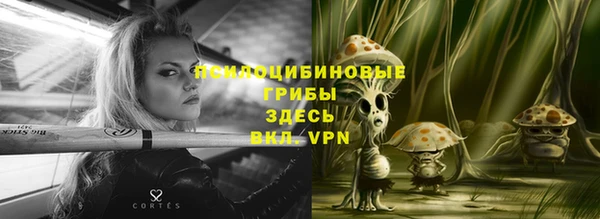 винт Бугульма