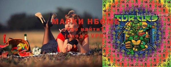прущая мука Бородино